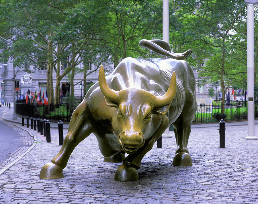 Wall Street Bull, Broadway, Manhattan, New York Photograph by Peter ...