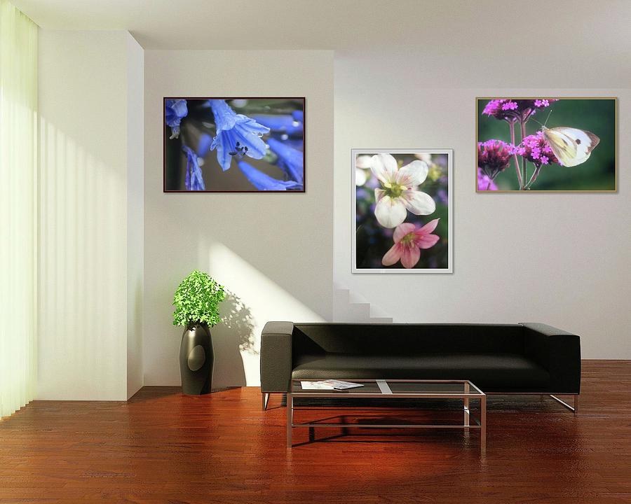 Wall1 Photograph by William G Watson Wall1 Photograph by William G Watson