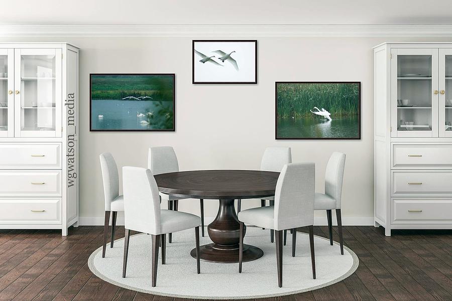 Wall4 Photograph by William G Watson Wall4 Photograph by William G Watson