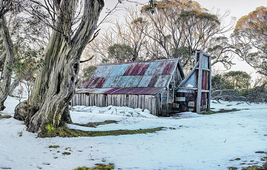 Wallaces Hut - Winter Photograph