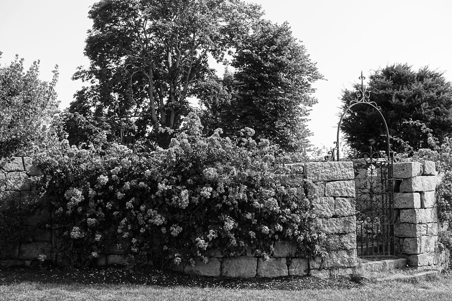 Walled Garden in BW Photograph by Patricia Caron