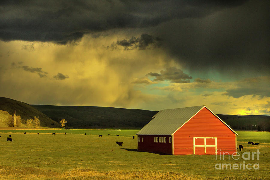 Wallowa Country Spring Storm Photograph
