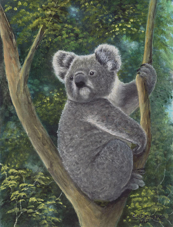 Wally Koala Painting by Carl McKinley