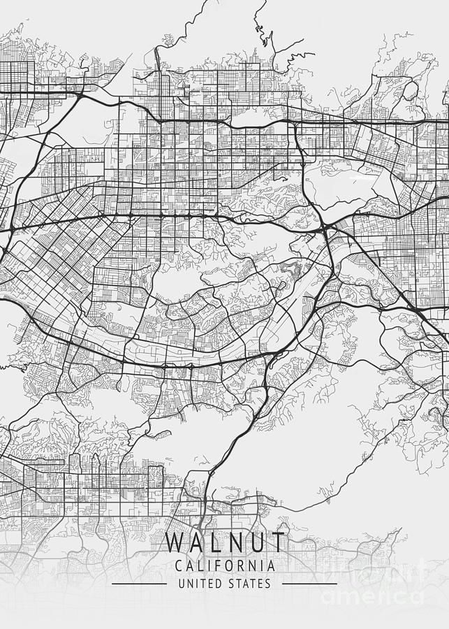 Walnut California Us Gray City Map Digital Art By Tien Stencil Fine Art America 0153