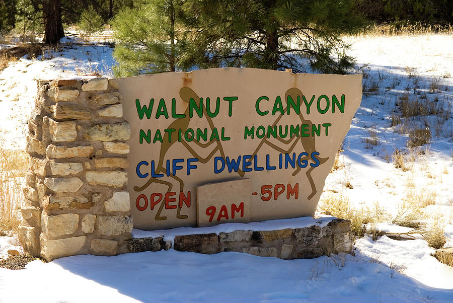 Walnut Canyon National Monument Arizona Photograph by Bob Pardue