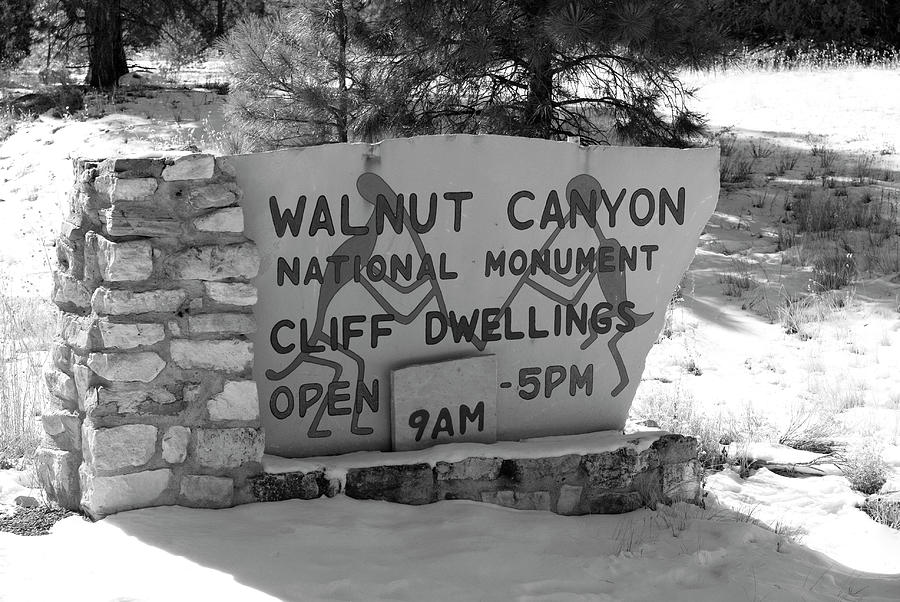 Walnut Canyon National Monument Arizona BW Photograph by Bob Pardue