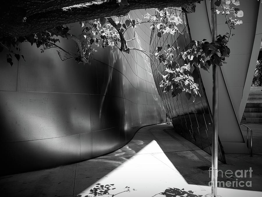 Architecture Photograph - Walt Disney Concert Hall Black White Gehry by Chuck Kuhn