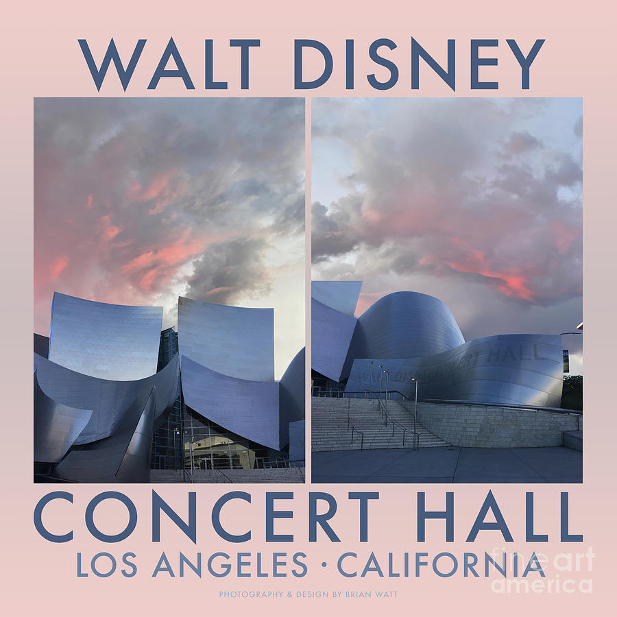 Walt Disney Concert Hall Photograph by Brian Watt