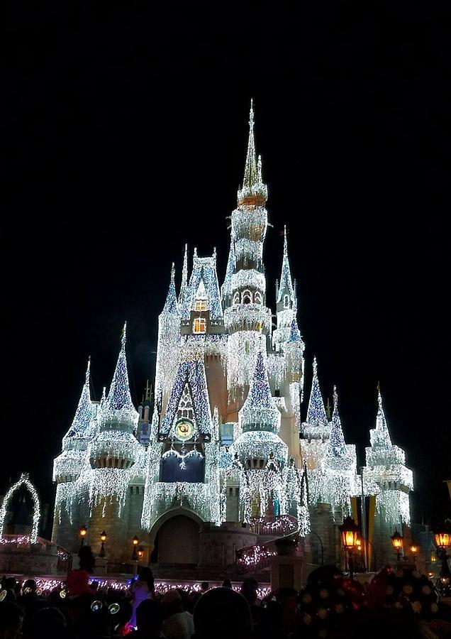 Walt Disney World Castle Photograph by JoAnn Sheehan - Fine Art America