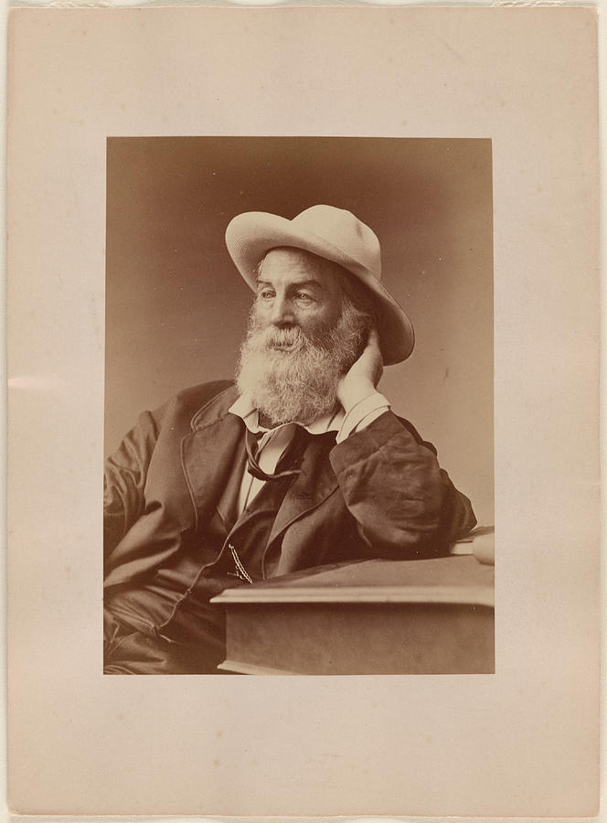 Walt Whitman Photograph By Frank E Pearsall - Fine Art America