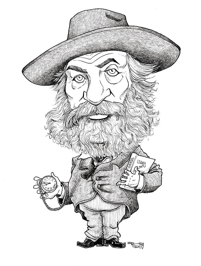 Walt Whitman Drawing by Mike Scott