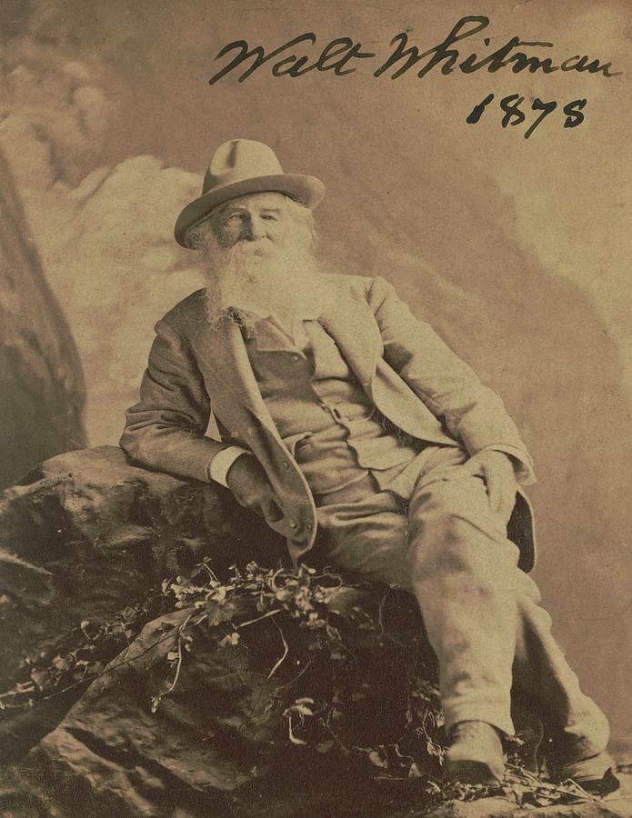 Walt Whitman Poet 1878 Portrait Photograph By Visions History Pixels