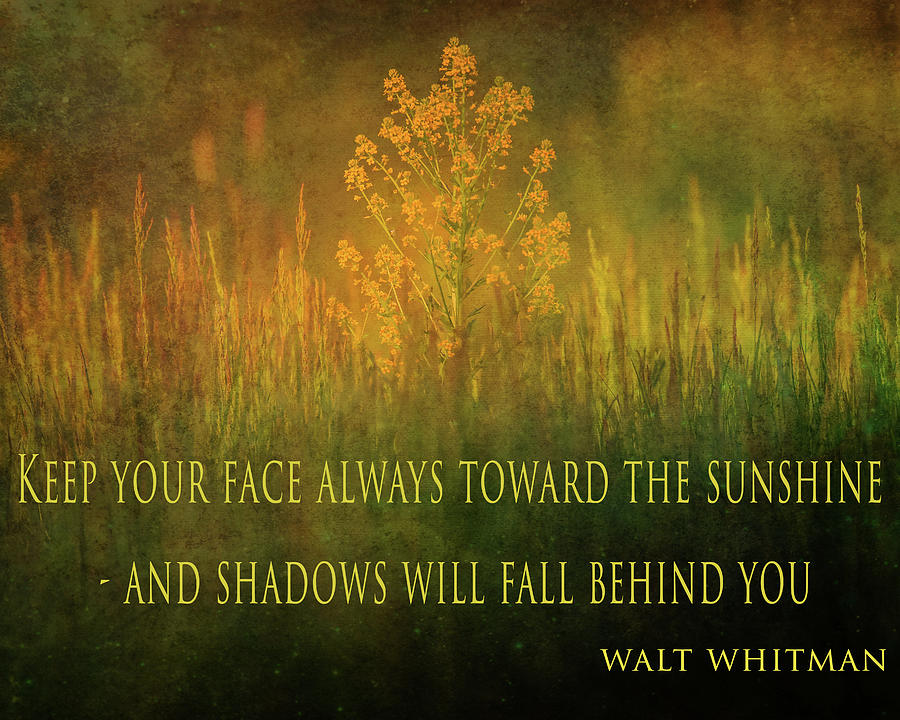 Walt Whitman Sunshine Quote Wild Field Mixed Media by Dan Sproul - Fine ...