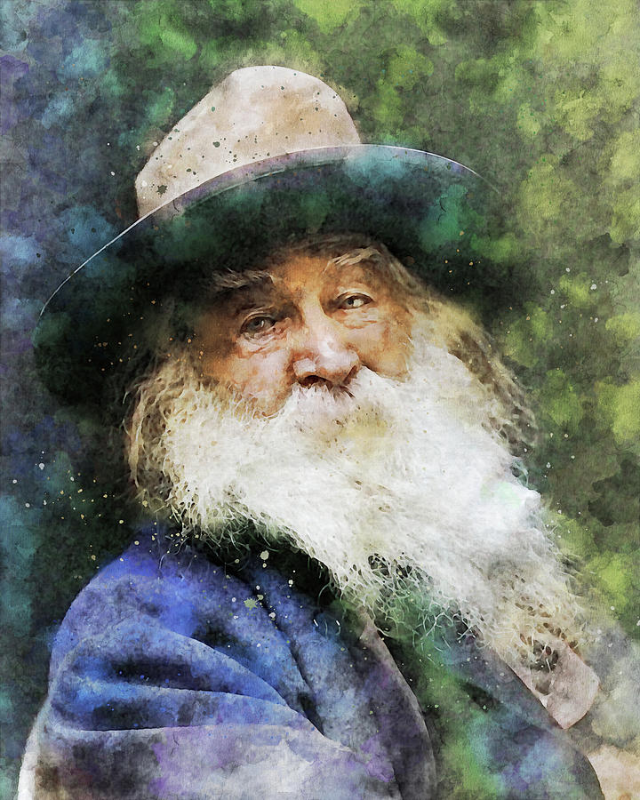 Walt Whitman Watercolor Painting Painting by Dan Sproul