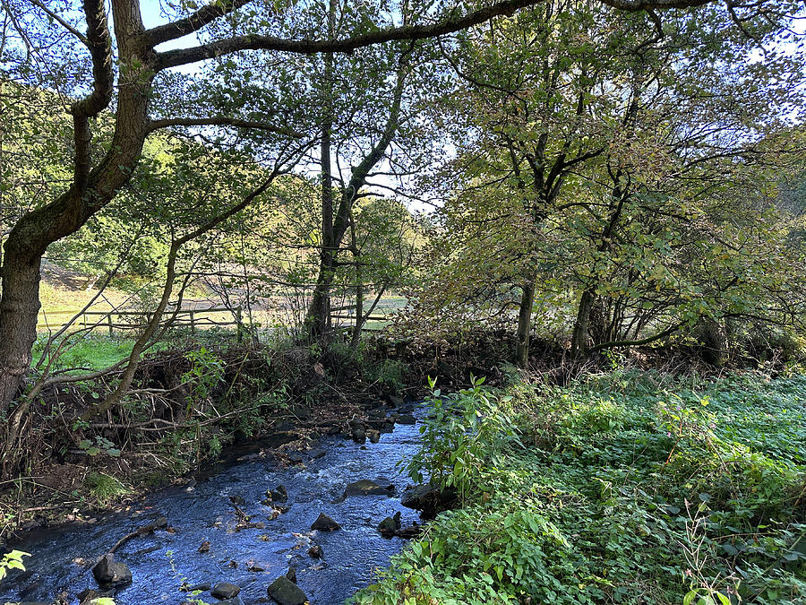 Walter Clough Valley in Brighouse, UK Photograph by Derek Oldfield ...