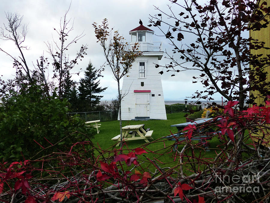 Walton Lighthouse, Nova Scotia Photograph by Phil Banks