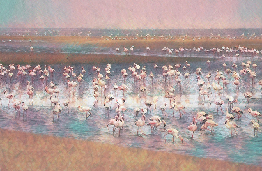 Walvis Bay Flamingos Da 2 Digital Art by Ernest Echols