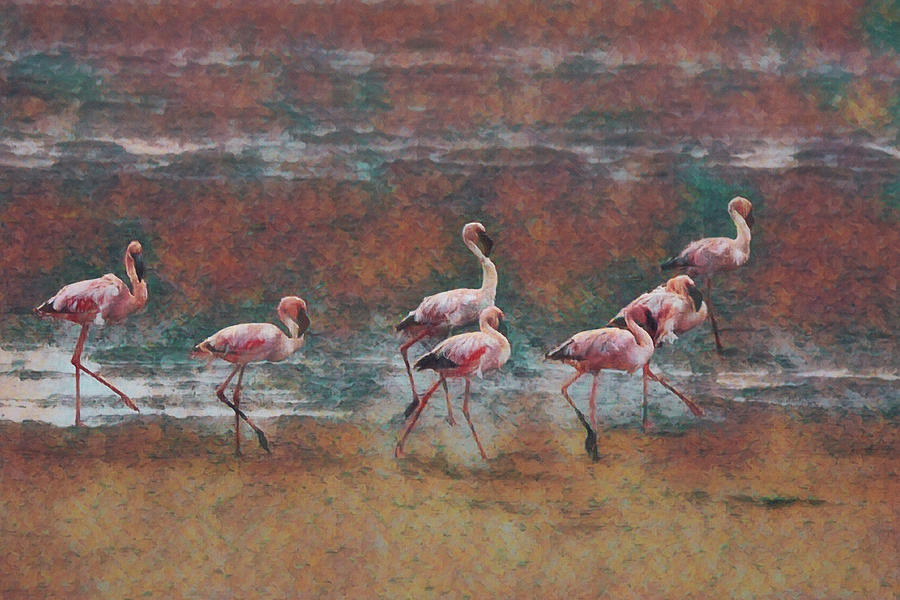 Flamingo Digital Art - Walvis Bay Flamingos Da 3 by Ernest Echols