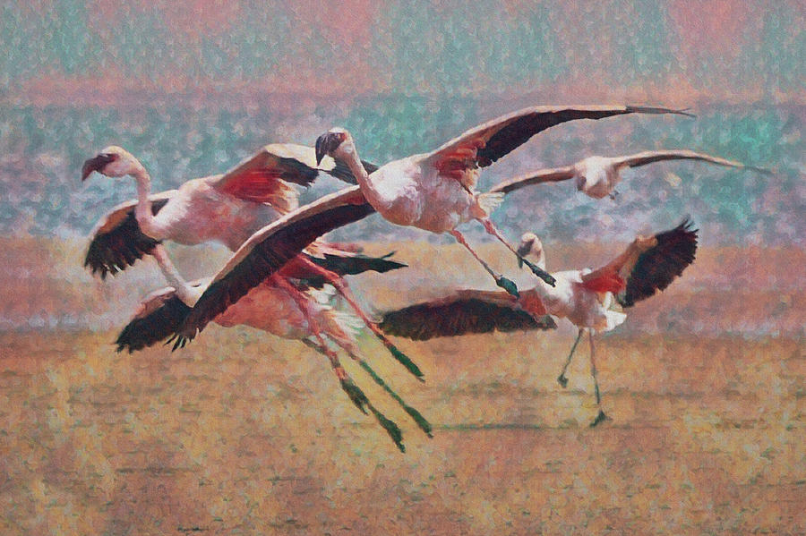 Walvis Bay Flamingos Da 4 Digital Art by Ernest Echols