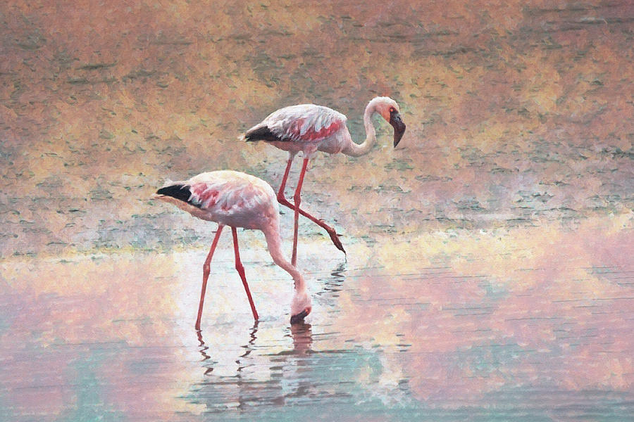 Walvis Bay Flamingos Da Digital Art by Ernest Echols