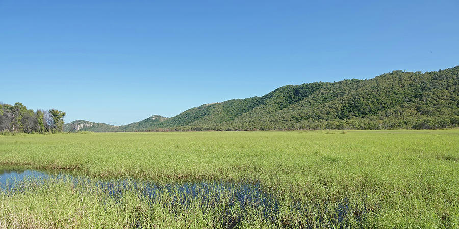 Wambuluna Wetlands Photograph by Maryse Jansen