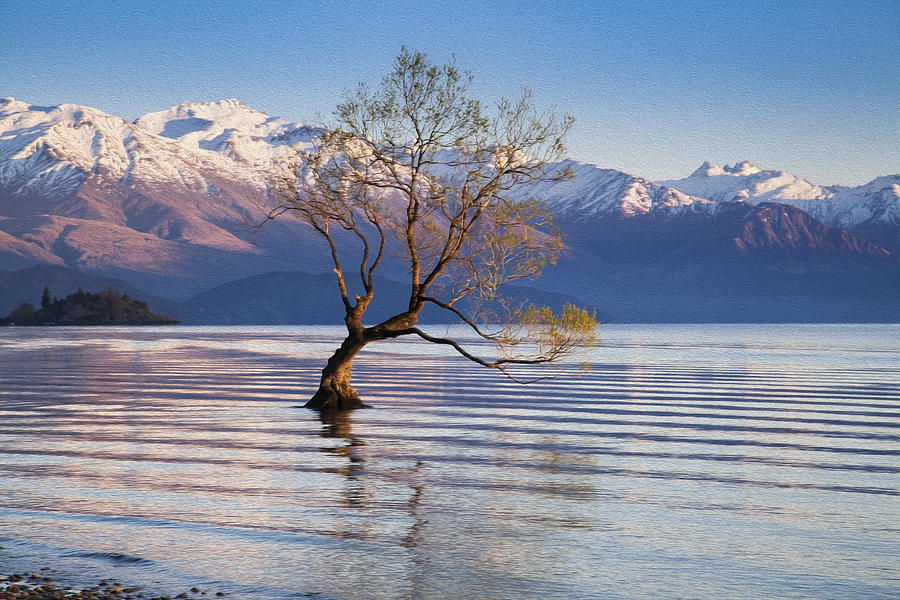 Wanaka tree in oil painting filtered Photograph by Nopparatk