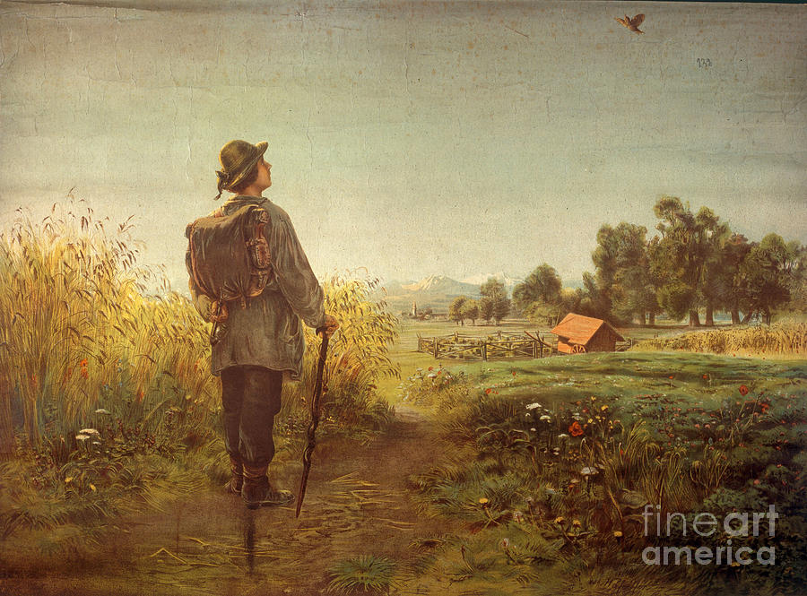Bird Painting - Wanderer and Lark by Wilhelm Hey