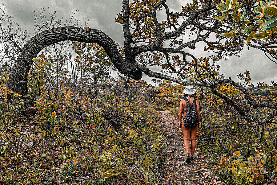 Nature Digital Art - Wanderer woman on the path of Cerrado. Woman walking on a rocky trail passing under a crooked tree. by Vinicius Bacarin