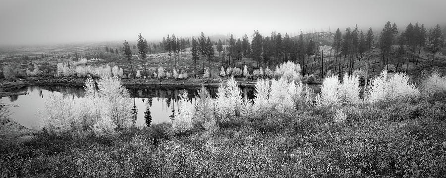 Wandering Pond in Autumn BW Photograph by Allan Van Gasbeck