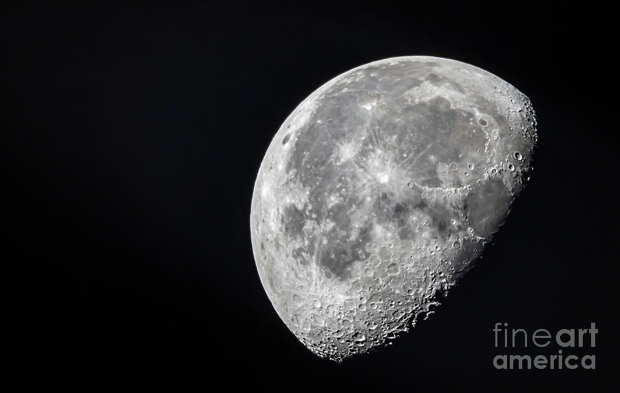 Waning Gibbous Moon Photograph by Tom Claud