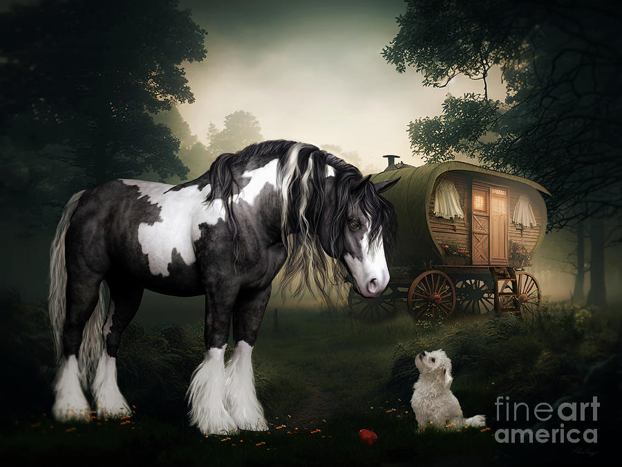 Gypsy Vanner Horse Digital Art - Want to Play by Shanina Conway
