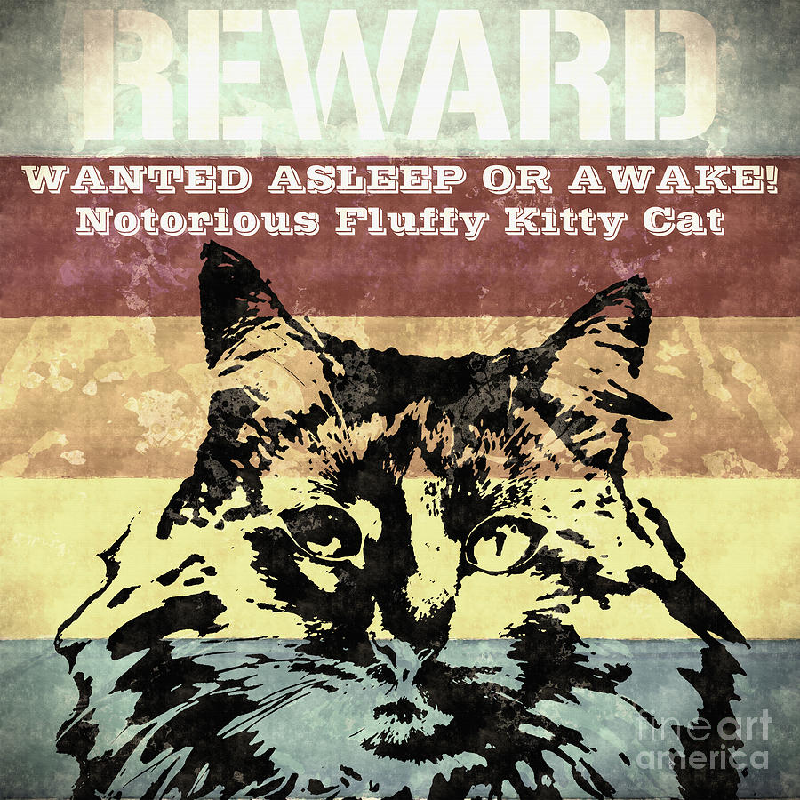 Wanted Asleep or Awake Mixed Media by Stefano Senise