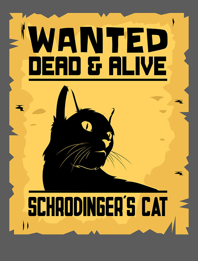 Novelty Cute 25mm 1" Button Badge SCHRODINGER'S CAT WANTED DEAD OR ALIVE 