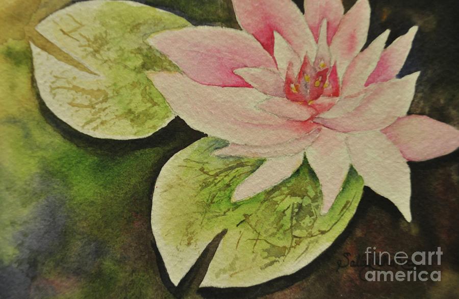 Lily Painting - Wanvisa Water Lily by Sally Tiska Rice
