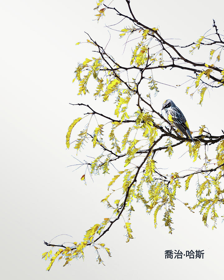 Warbler in Locust Tree Digital Art by George Harth