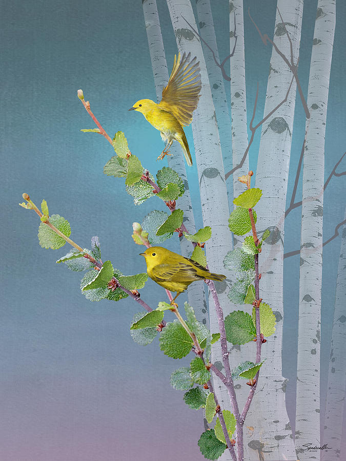 Warblers and Birch Digital Art by M Spadecaller