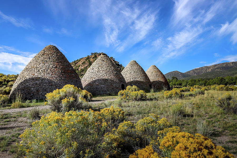 Ward Charcoal Ovens Photograph by Bill Gallagher