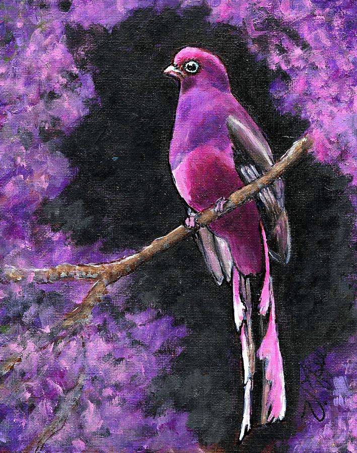 Wards Trogon Painting by VLee Watson