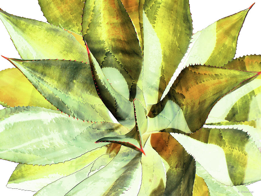 Warm Agave 2 Botanical Art Painting by Sharon Cummings