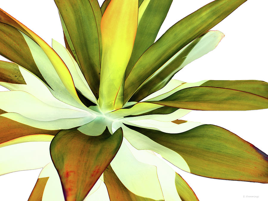 Warm Agave Botanical Art Painting by Sharon Cummings
