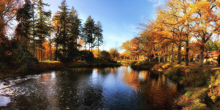 Warm Autumn in Denekamp Digital Art by Edward Galagan
