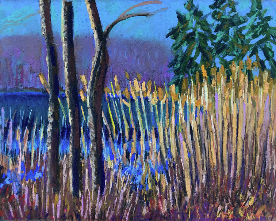 Warm February at Putnam Park Pastel by Polly Castor