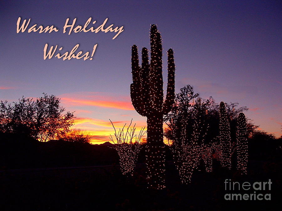 Warm Holiday Wishes Photograph by Marilyn Smith