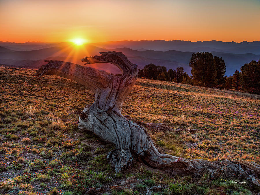 Warm Mountain Sunrise Photograph by Leland D Howard