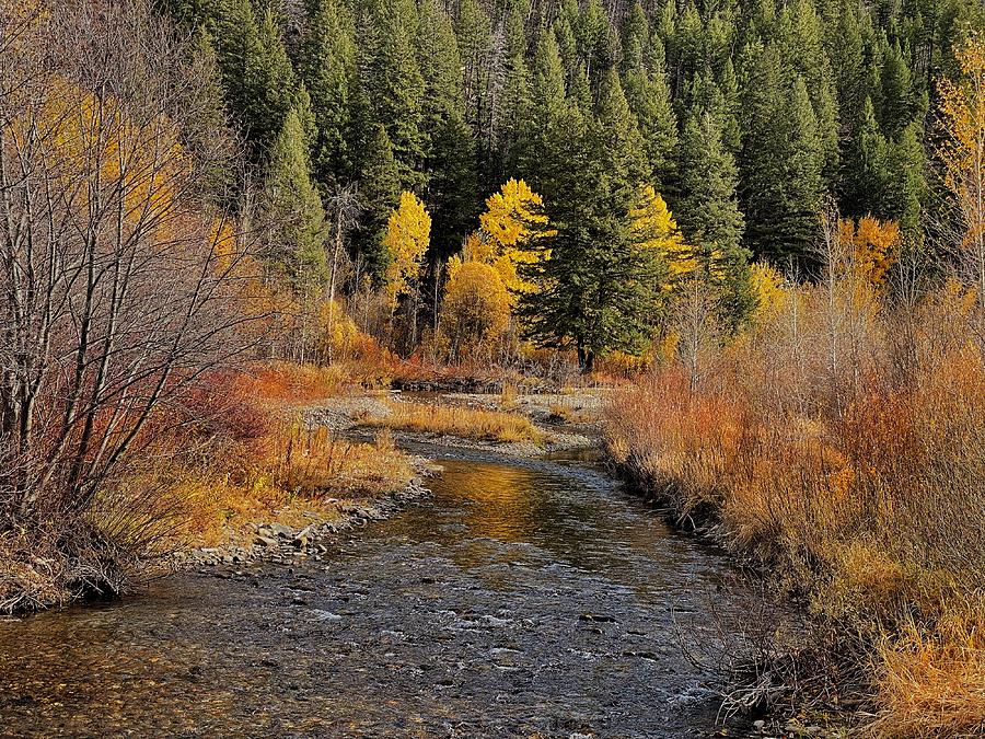 Warm Springs Autumn Color Photograph by Jerry Abbott