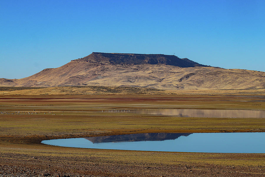 Warm Springs Reservoir Photograph By Marla Steinke - Pixels