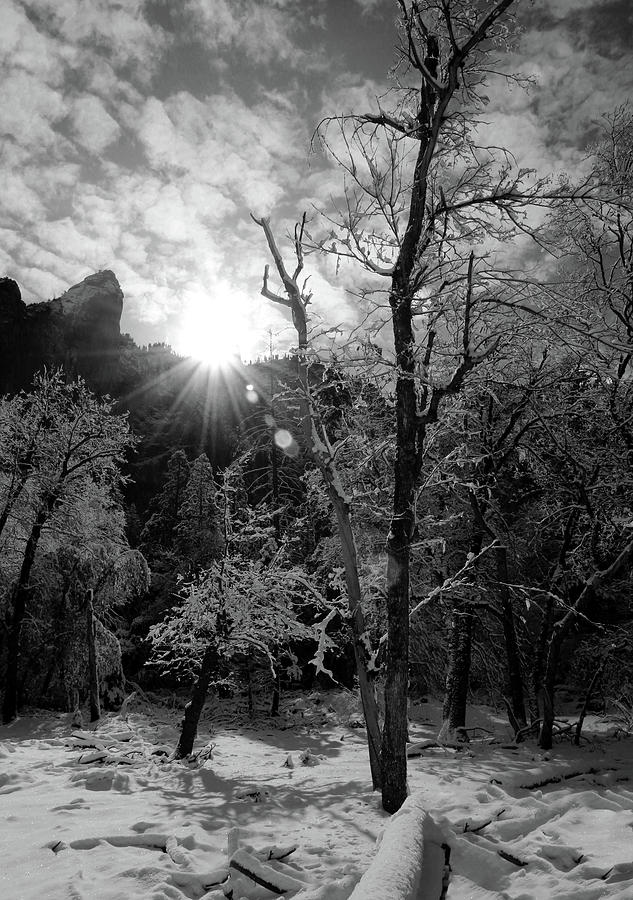 WARM SUN RAYS ON A COLD WINTER DAY - Black and white Photograph by Walter Fahmy
