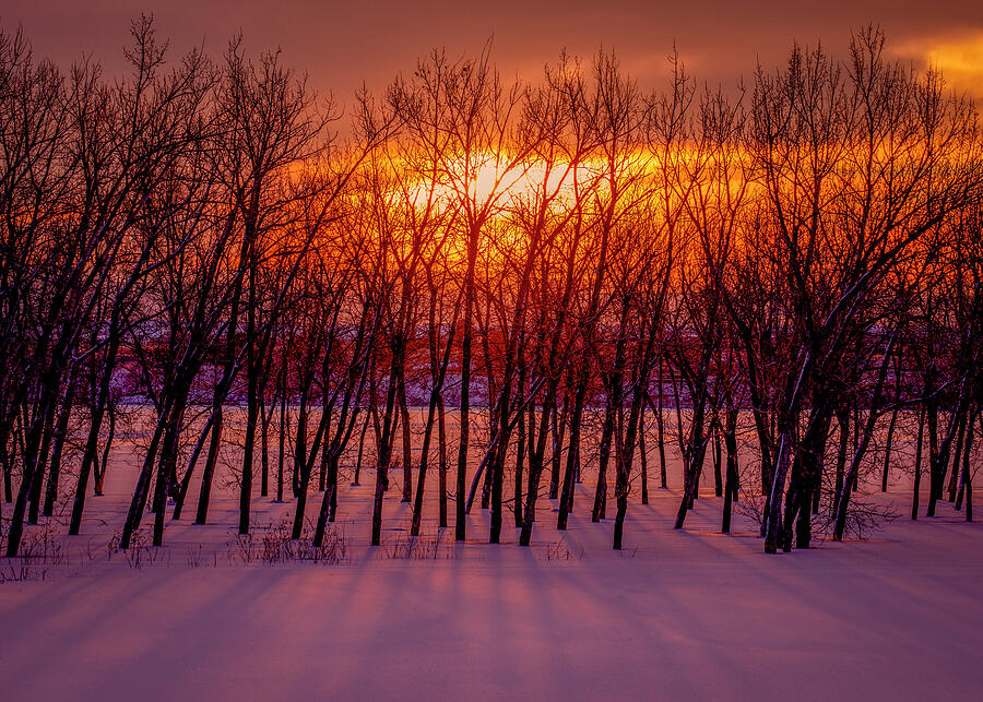 Warm Winter Sunrise Photograph by Teri Virbickis