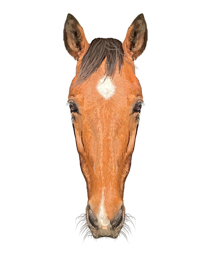 horse head front