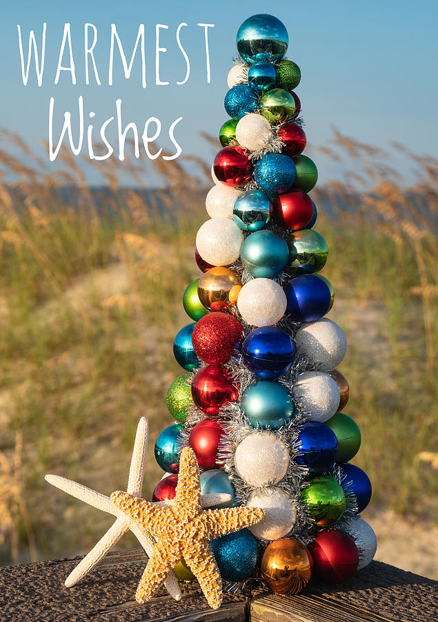 Christmas Card Photograph - Warmest Wishes Beach Christmas Card 1 by Dawna Moore Photography